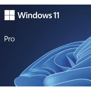 Win Pro 11 64-bit All Lng...