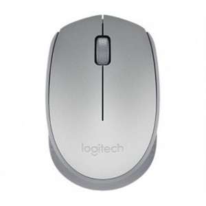Wireless Mouse M170 Silver